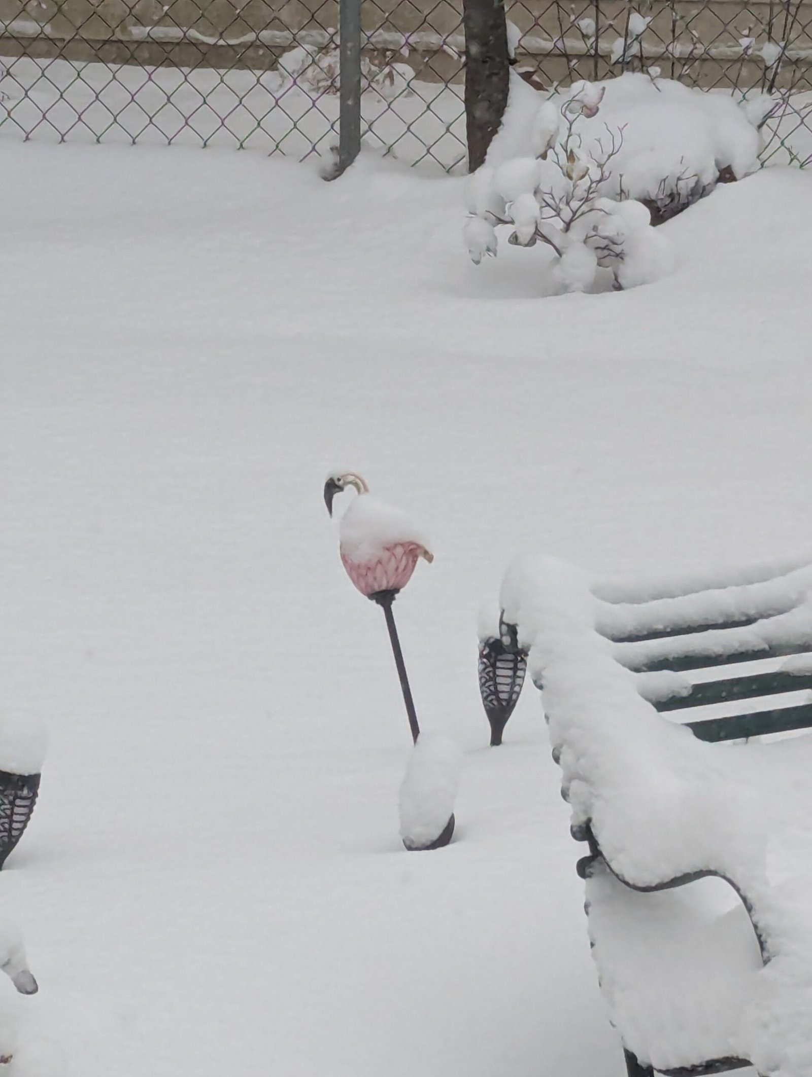 Frigid Friday Afternoon Links