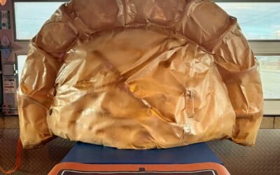 First Friday of 2026 Afternoon Links