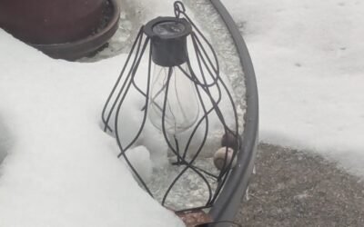 Still Frigid Friday Afternoon Links