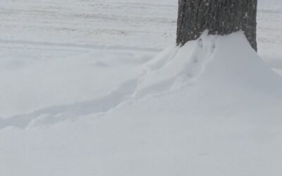 Final January Friday Afternoon Links – Still Frigid