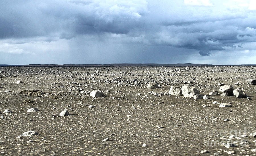 IFLA:  The “Not Much” Edition of the Horoscope for the Week of Feb 1