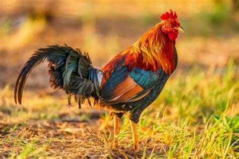 Saturday evening Links