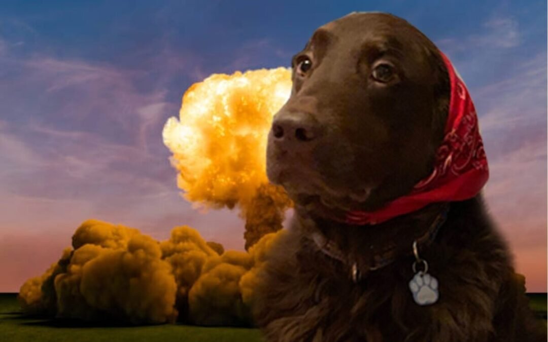 Random Thoughts – XVI