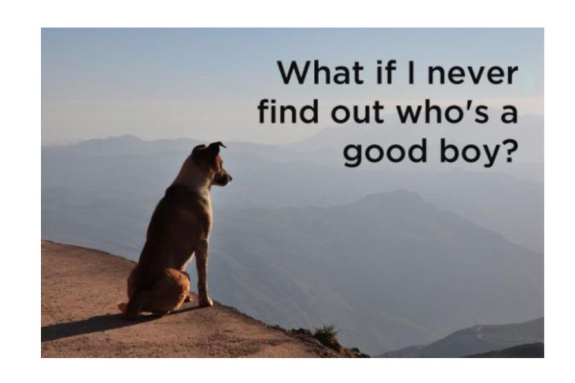 Random Thoughts: XVII