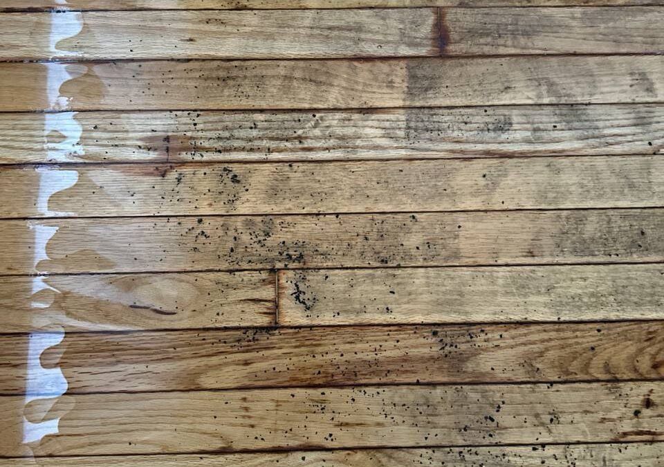 Saturday evening Links