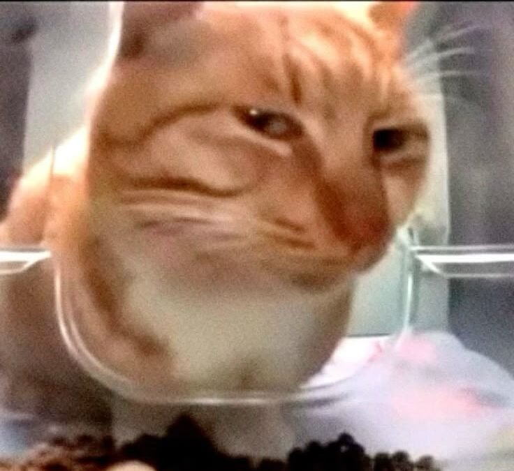 IFLA:  The “Are You Sure?” Edition of the Horoscope for the Week of April 26